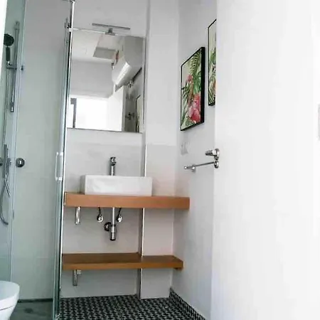 Cactus Las Palmas de Gran Canaria