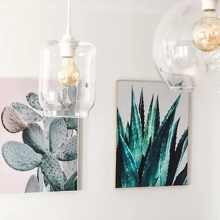 Apartment Cactus